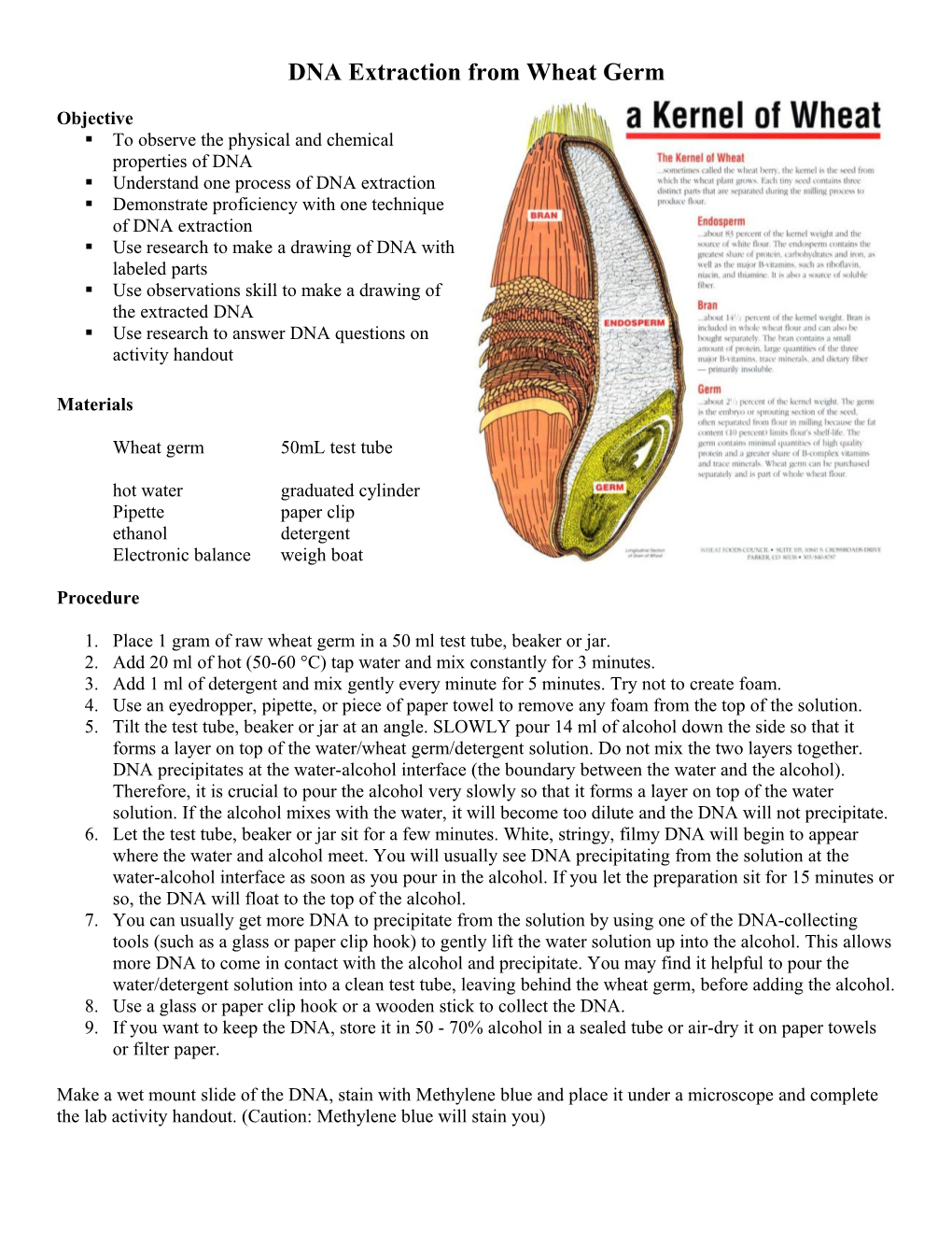 DNA Extraction from Wheat Germ