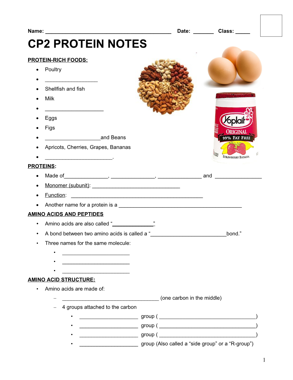 Cp2 Protein Notes