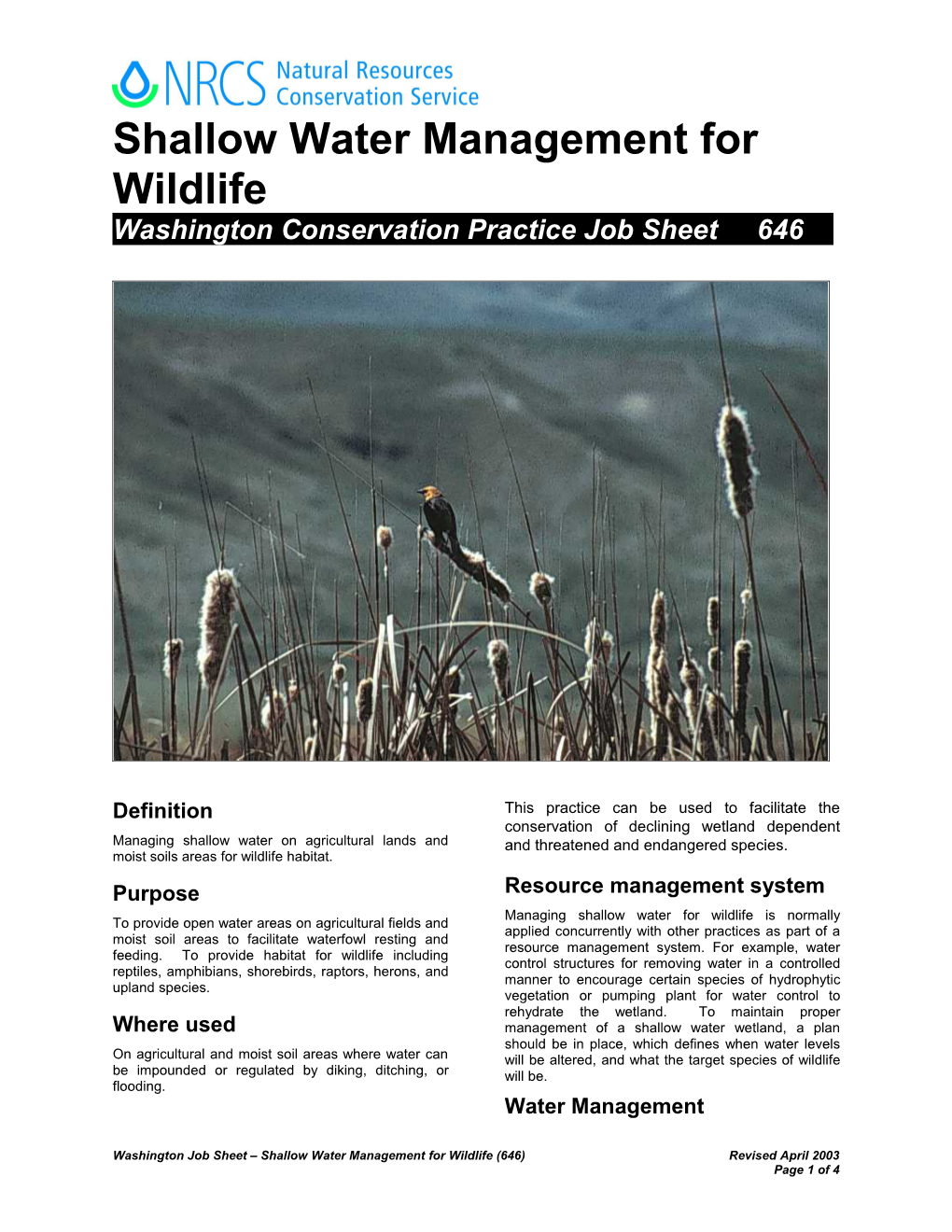 Shallow Water Management for Wildlife