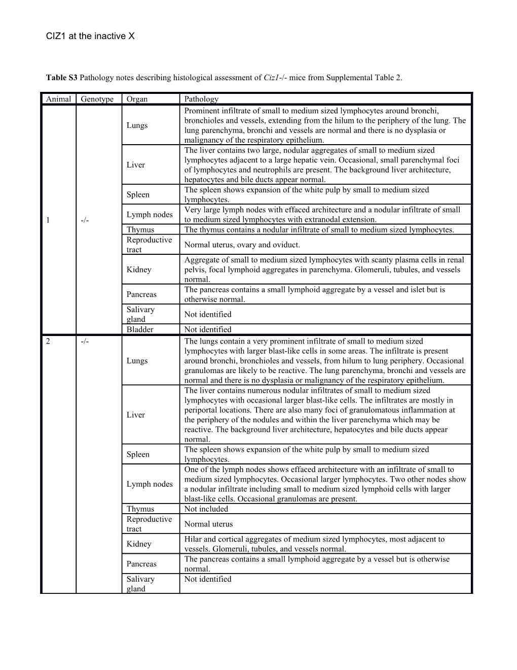 Table S3 Pathology Notes Describing Histological Assessment of Ciz1-/- Mice from Supplemental