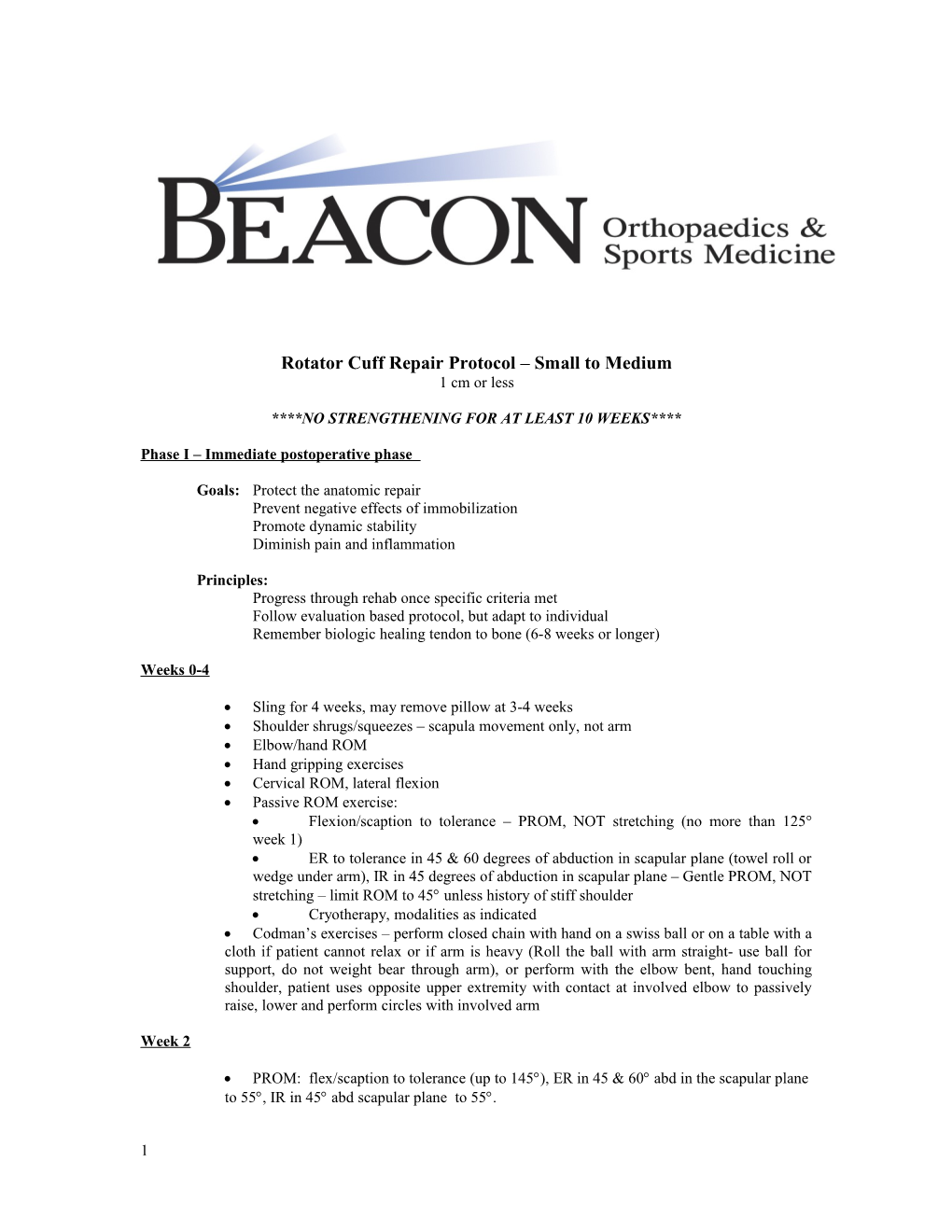 Rotator Cuff Repair Protocol Small to Medium