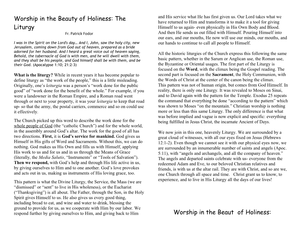Worship in the Beauty of Holiness: the Liturgy