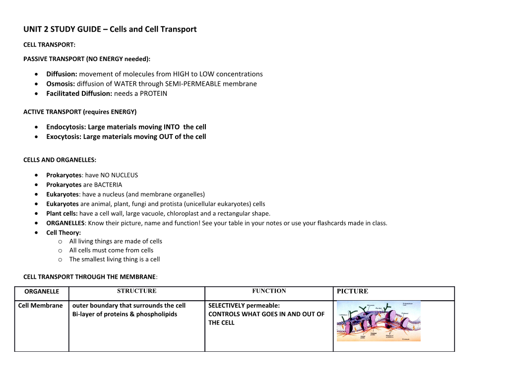 UNIT 2 STUDY GUIDE Cells and Cell Transport