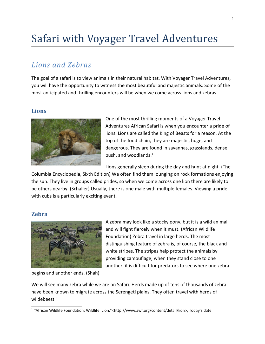 Safari with Voyager Travel Adventures