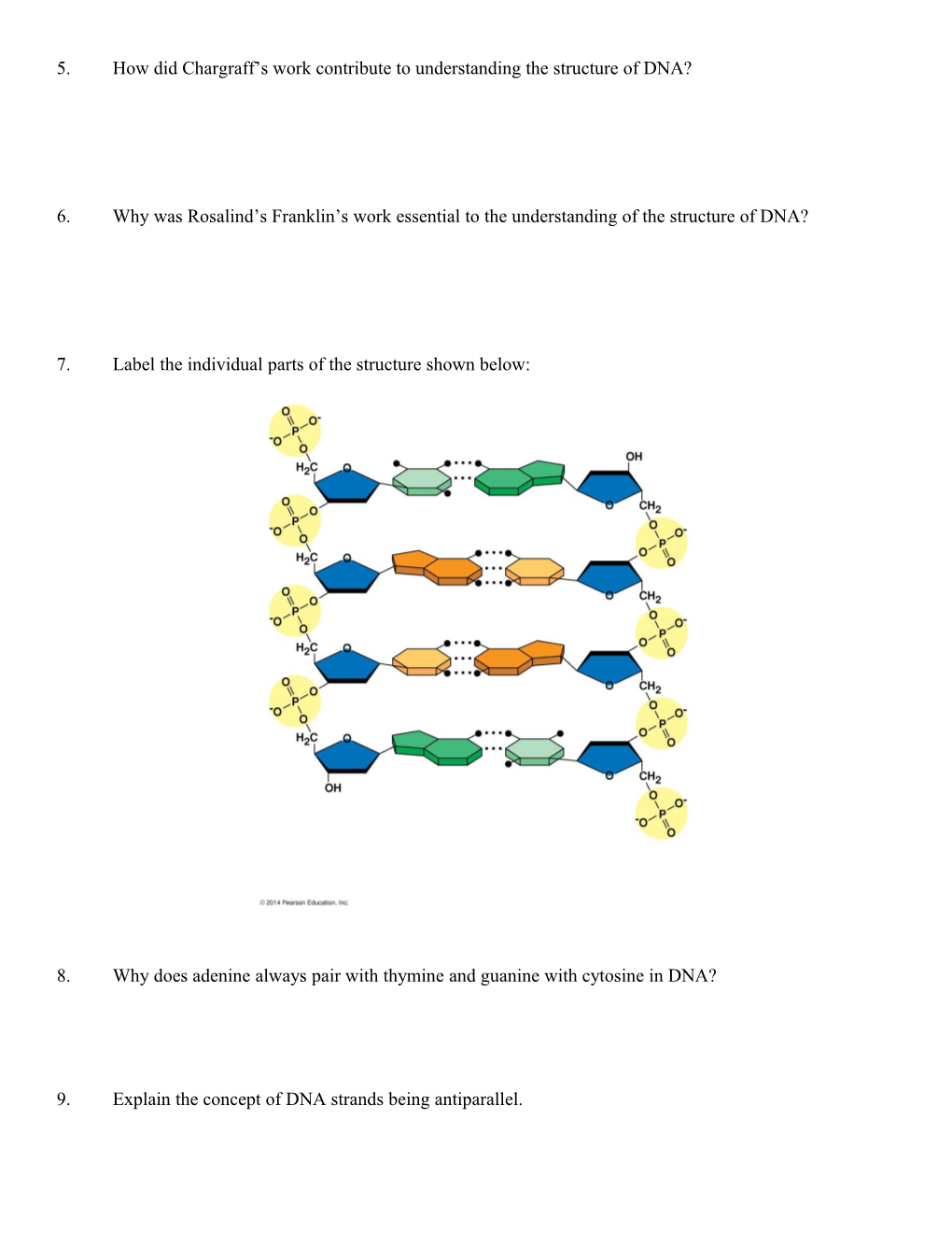 Chapter 1: Molecular Basis of Inheritance Guided Reading