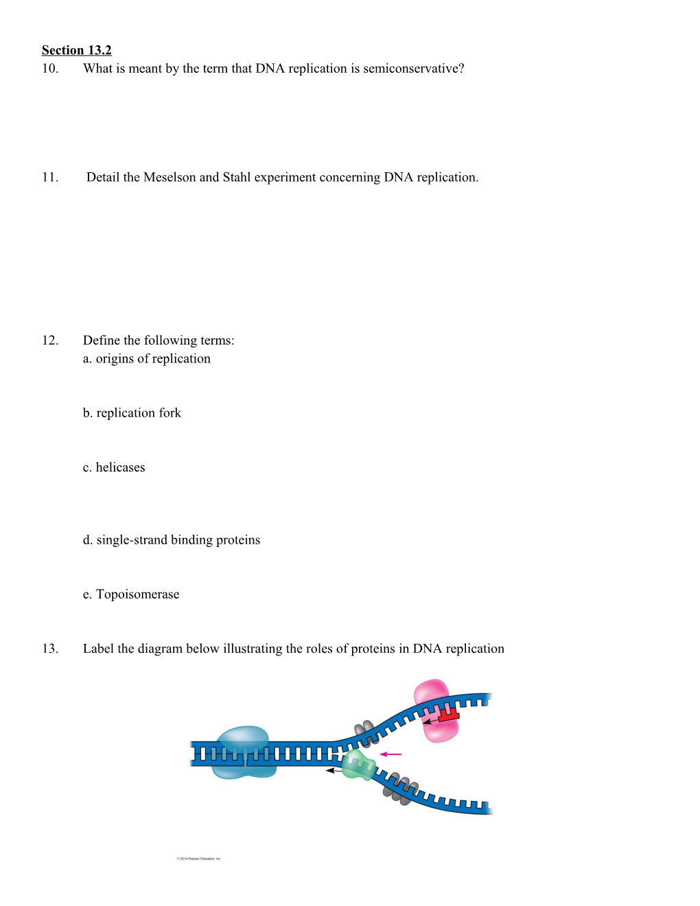 Chapter 1: Molecular Basis of Inheritance Guided Reading