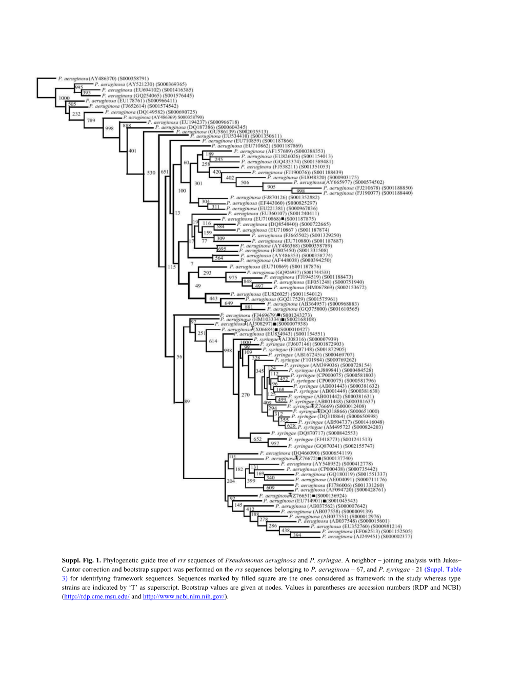 Suppl. Fig. 1. Phylogenetic Guide Tree of Rrs Sequences of Pseudomonas Aeruginosa and P