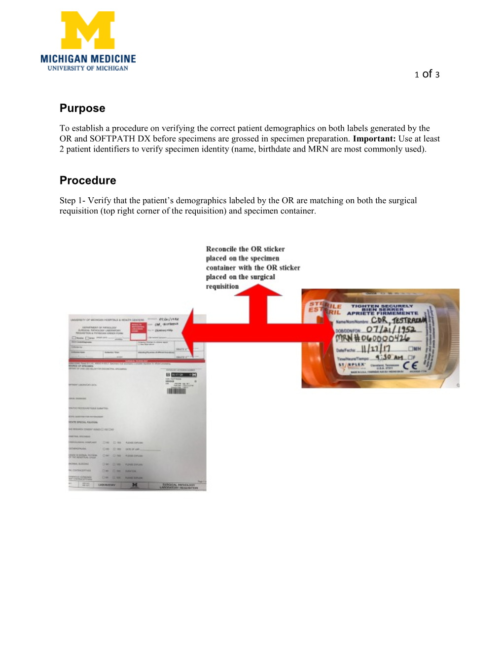 To Establish a Procedure on Verifying the Correct Patient Demographics on Both Labels Generated