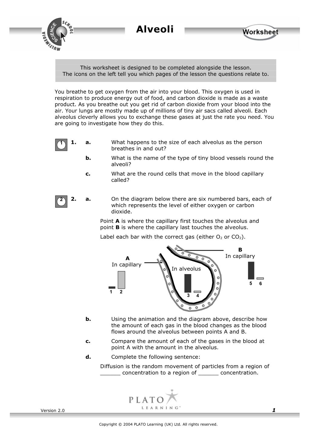 This Worksheet Is Designed to Be Completed Alongside the Lesson