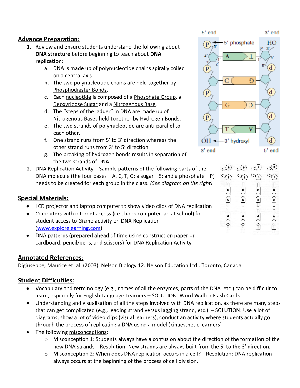 DNA Replication and Repair SUMMARY