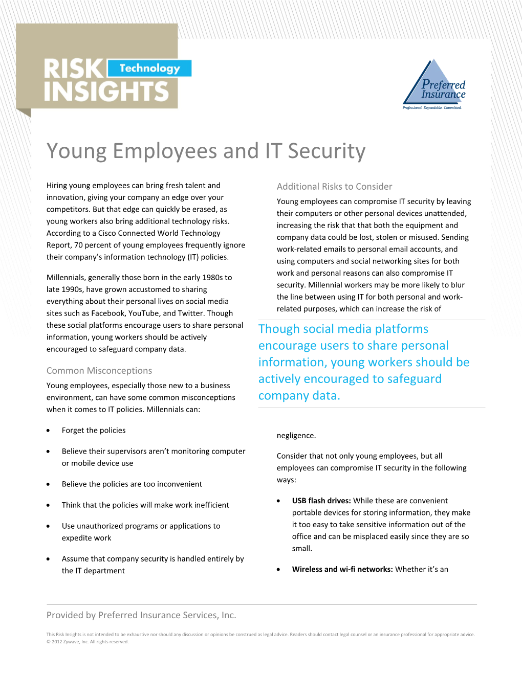 Young Employees and IT Security