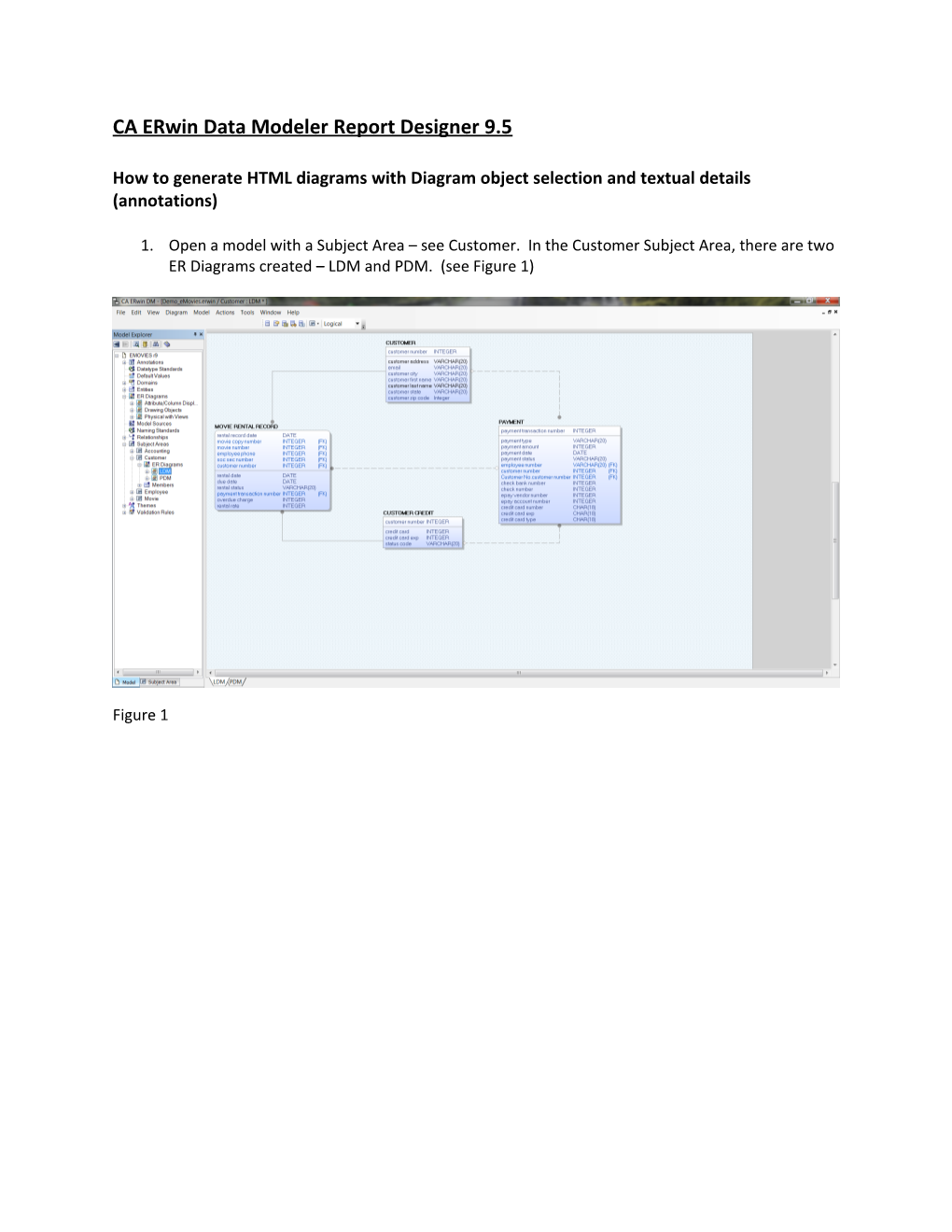 CA Erwin Data Modeler Report Designer 9.5