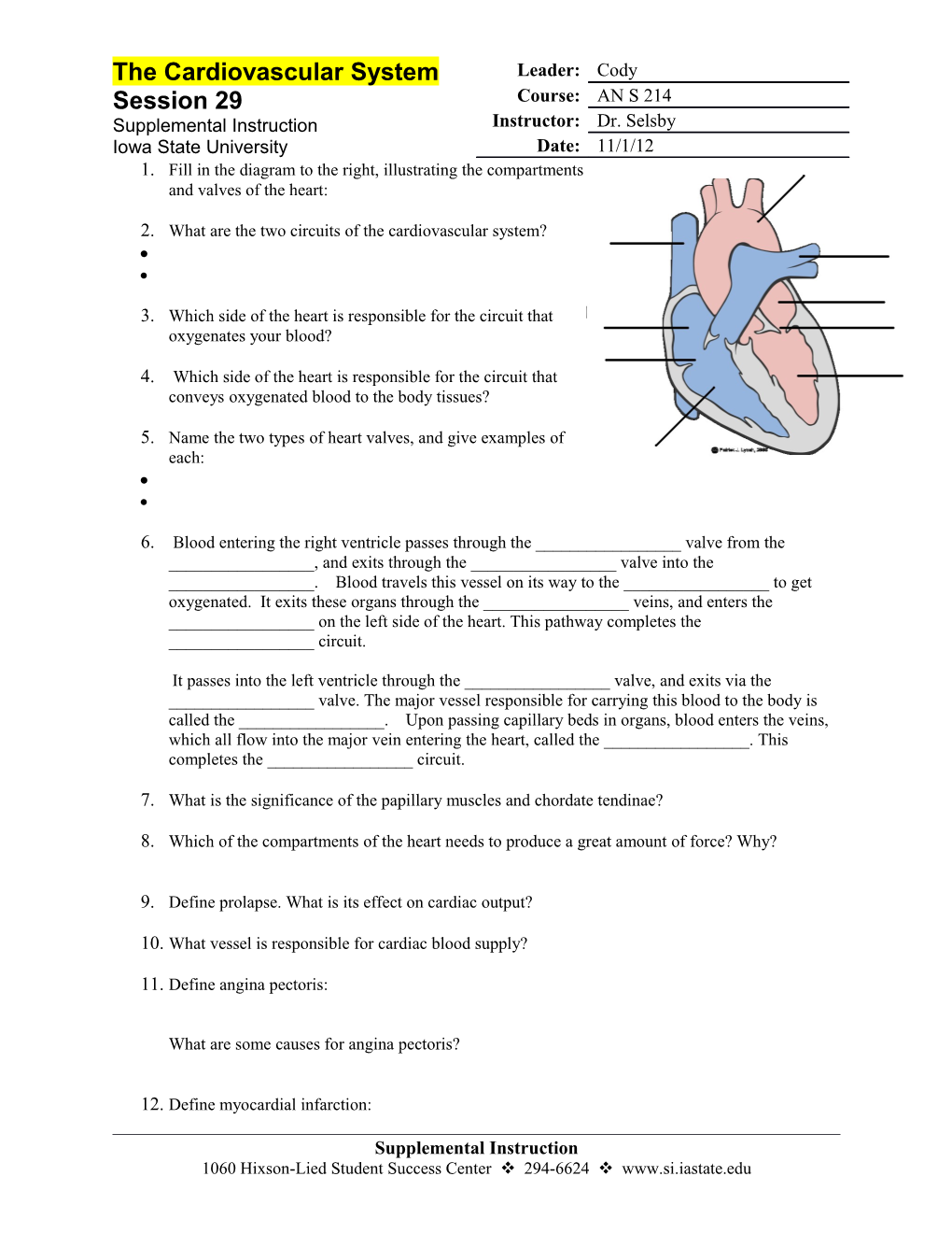 2. What Are the Two Circuits of the Cardiovascular System?