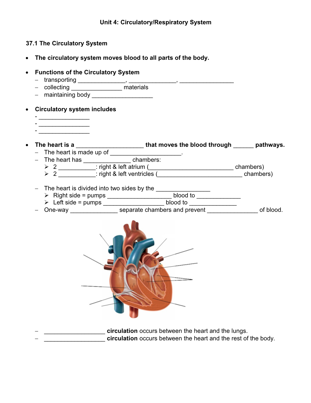 Unit 4: Circulatory/Respiratory System