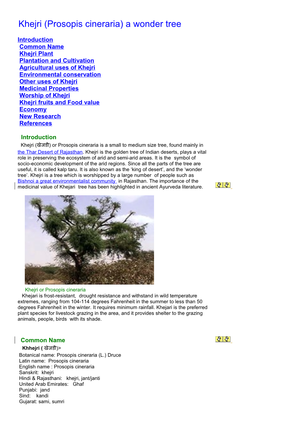 Khejri (Prosopis Cineraria) a Wonder Tree