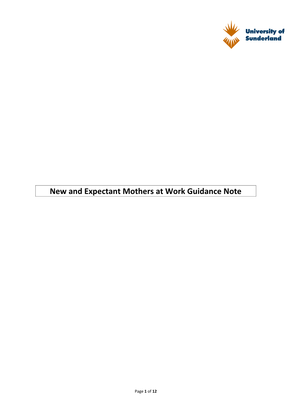 New and Expectant Mothers at Work Guidance Note