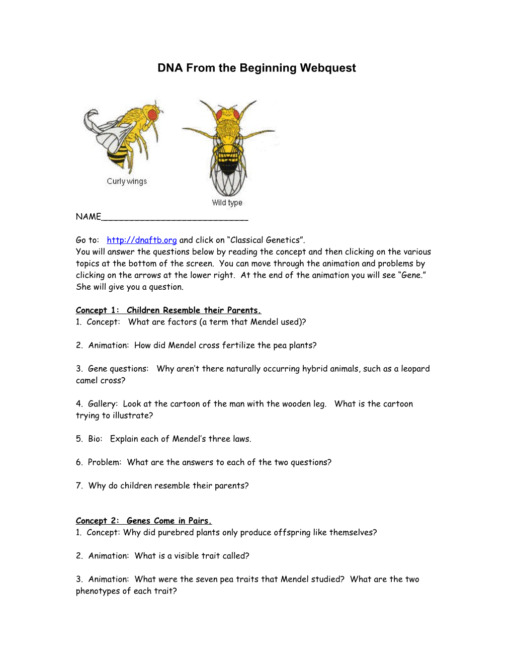 DNA from the Beginning Webquest