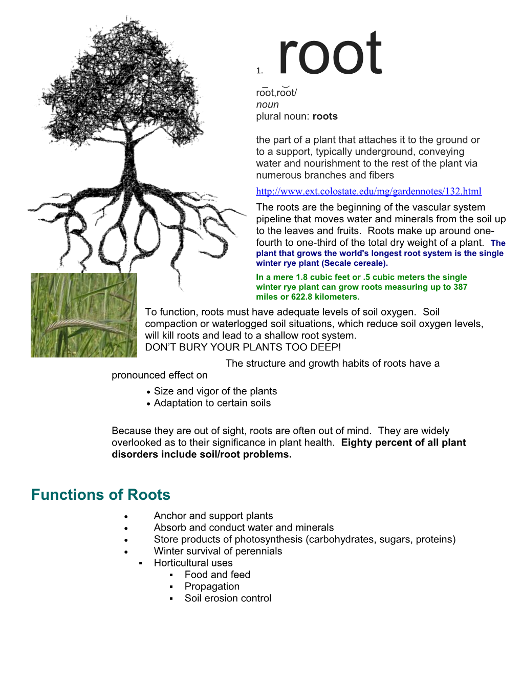 Plural Noun: Roots