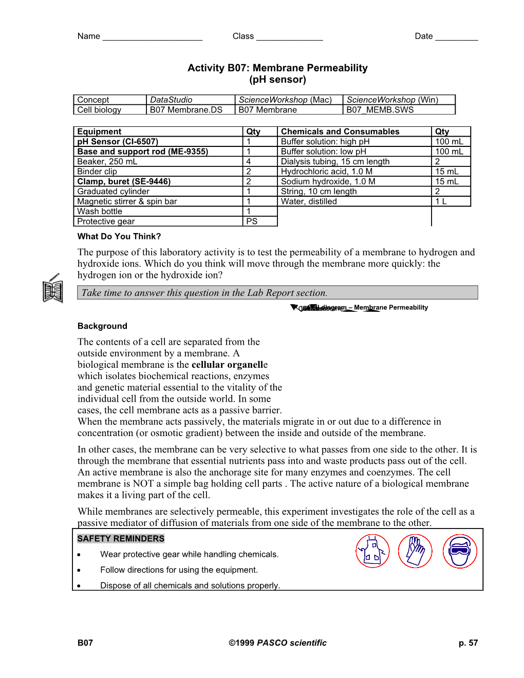 Activity B07: Membrane Permeability