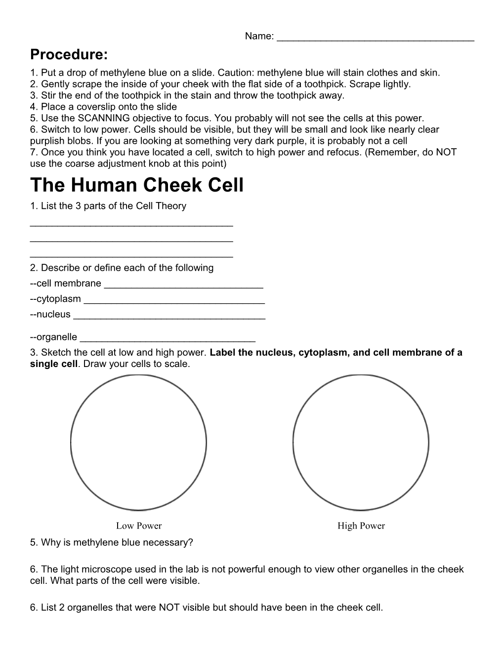 The Human Cheek Cell