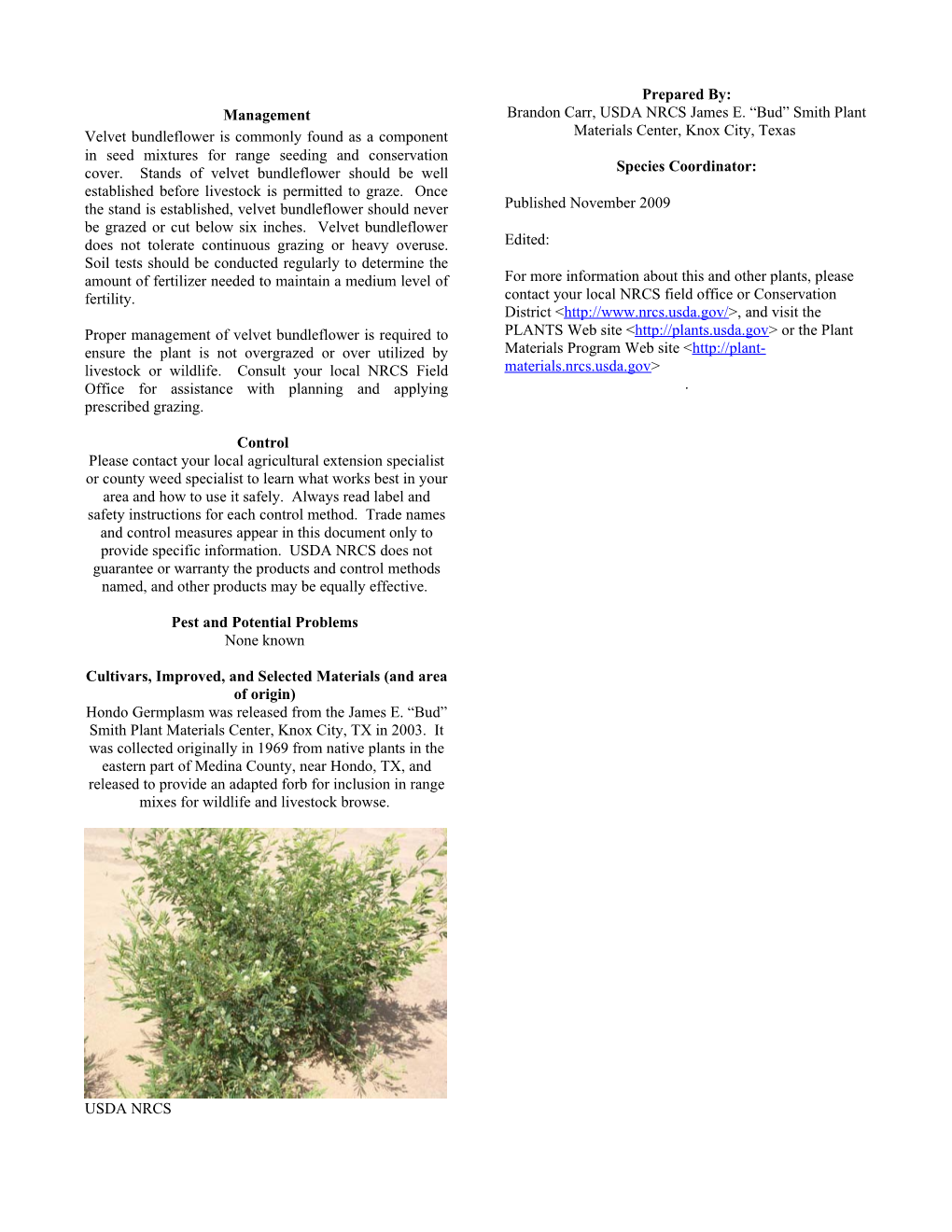 Velvet Bundleflower Plant Fact Sheet