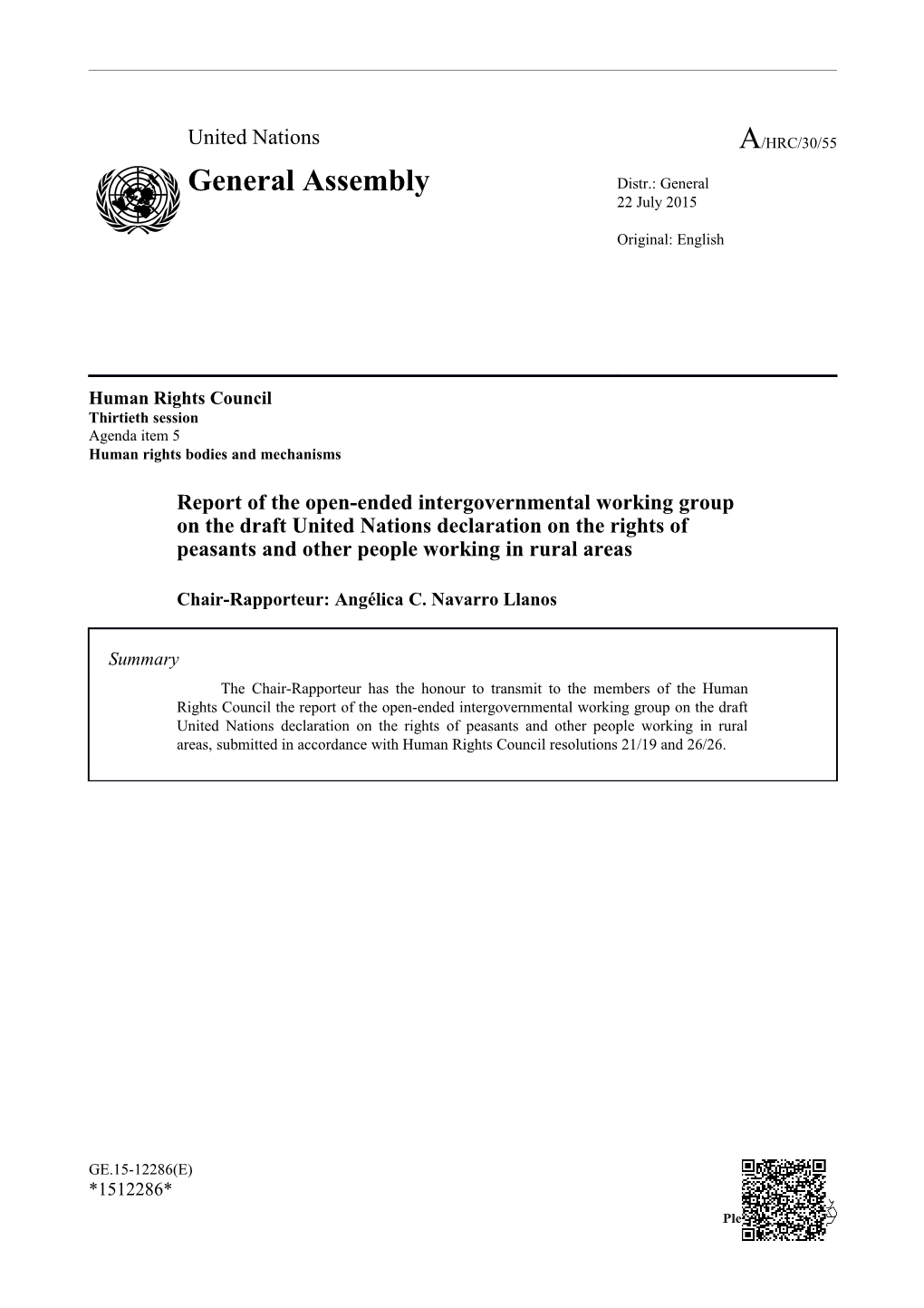 Report of the Open-Ended Intergovernmental Working Group on the Draft United Nations Declaration