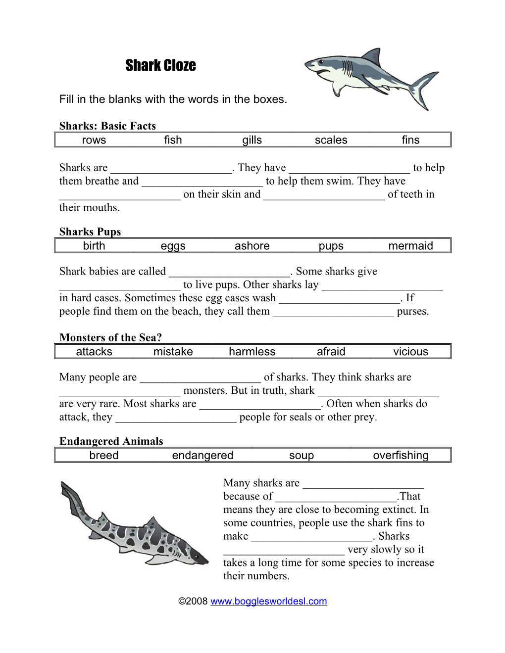 Shark Cloze Fill in the Blanks with the Words in the Boxes