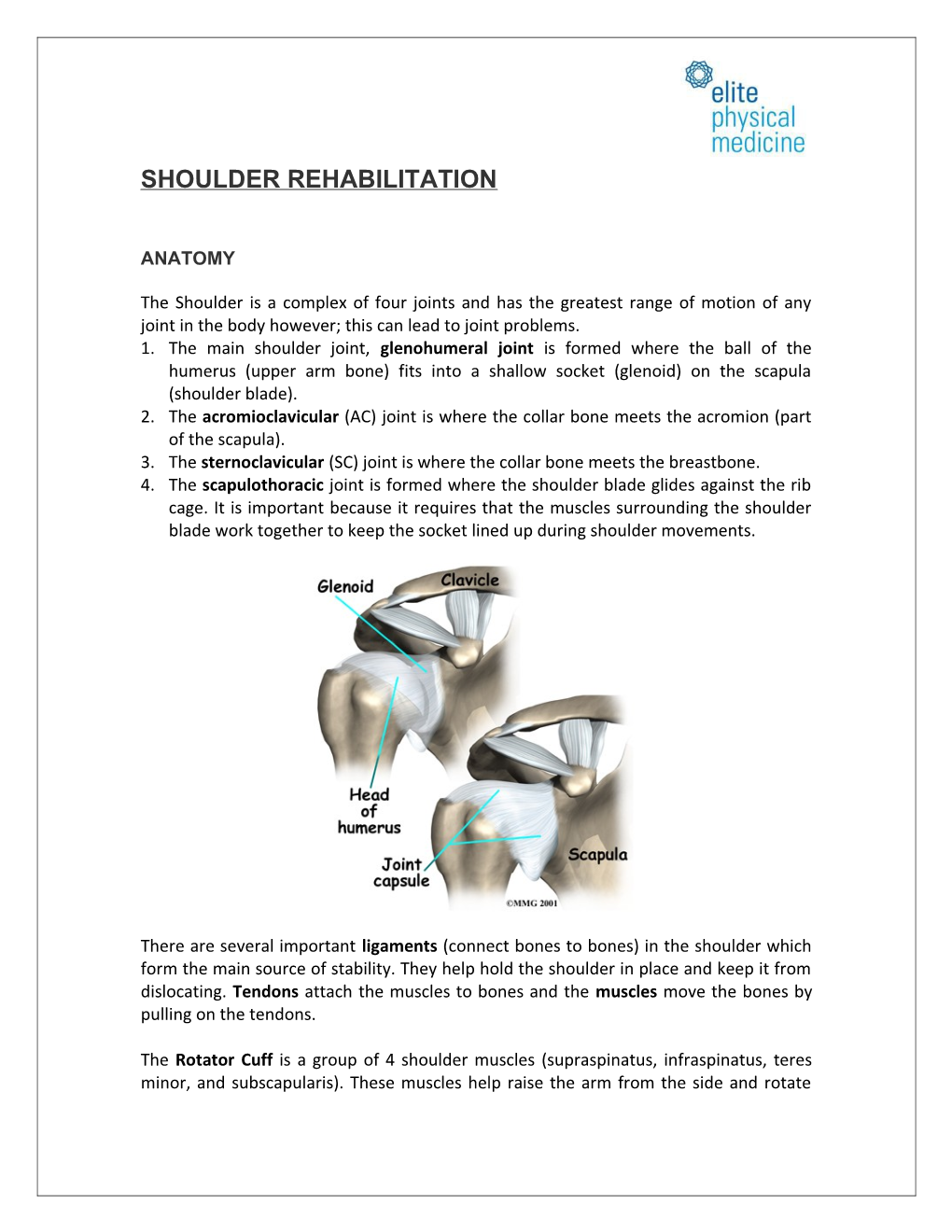 Shoulder Rehabilitation