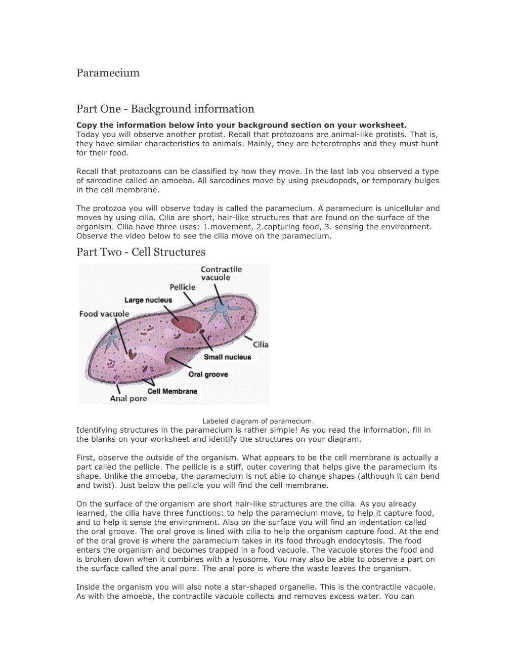 Part One - Background Information