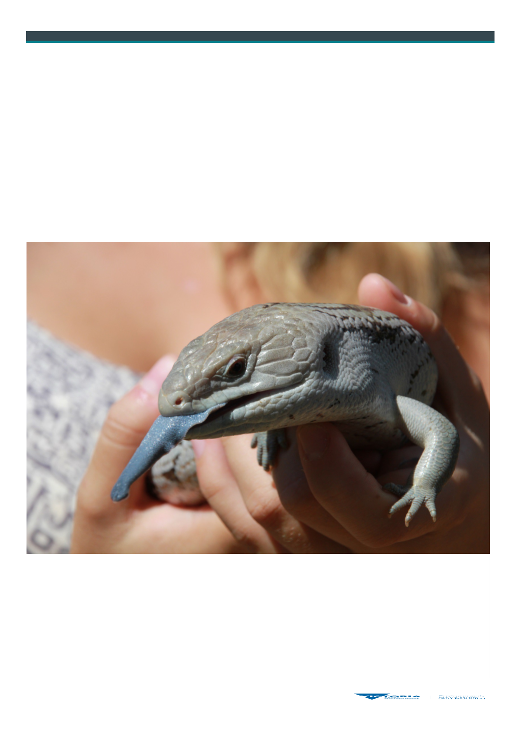 Wildlife Shelter and Foster Carer Authorisation Guide 2