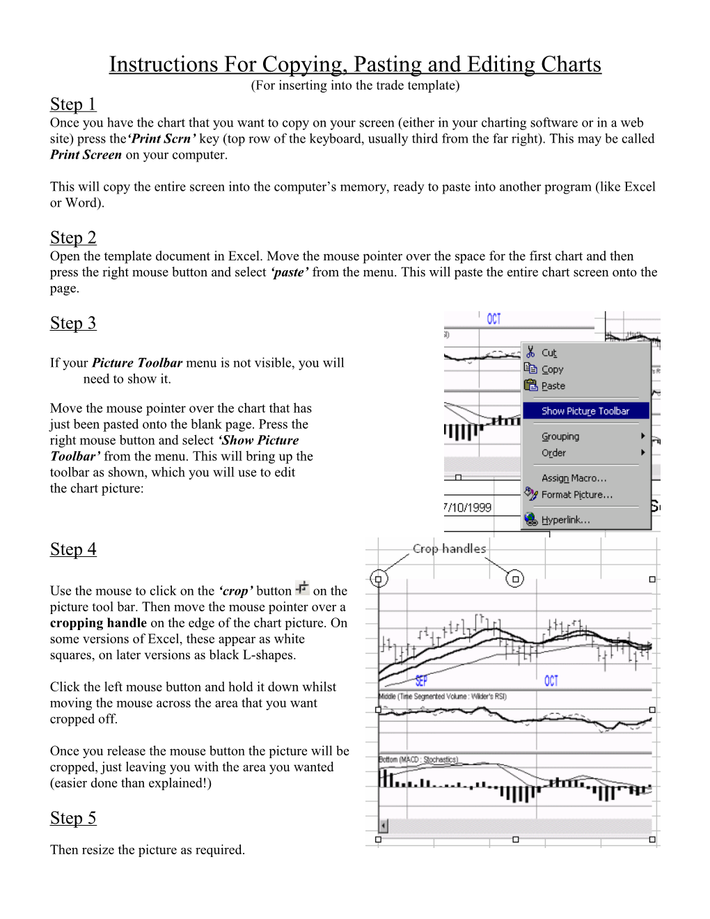 Instructions for Copying, Pasting and Editing Charts