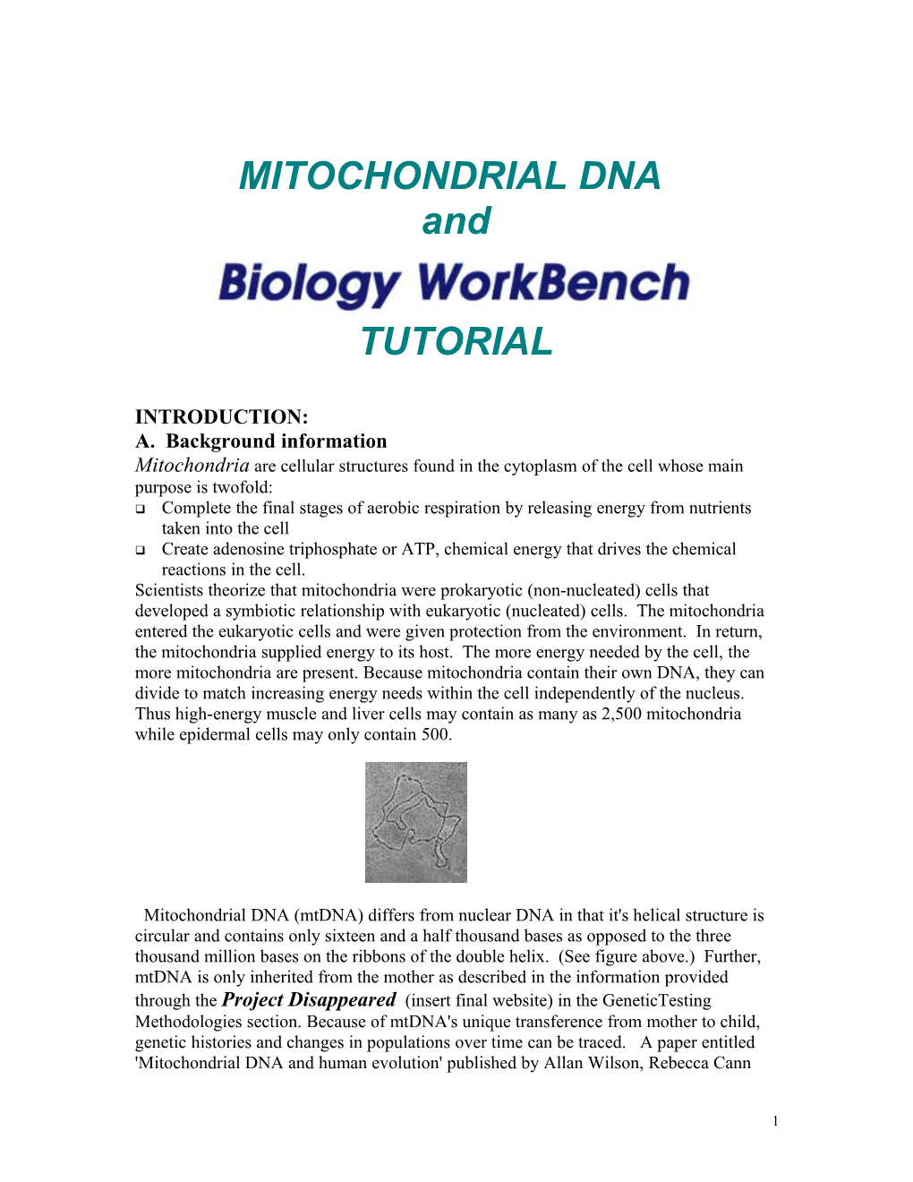 Mtdna and BIOLOGY WORKBENCH