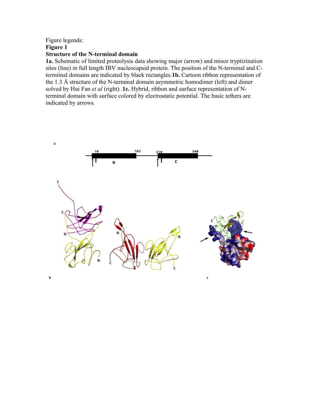 Structure of the N-Terminal Domain