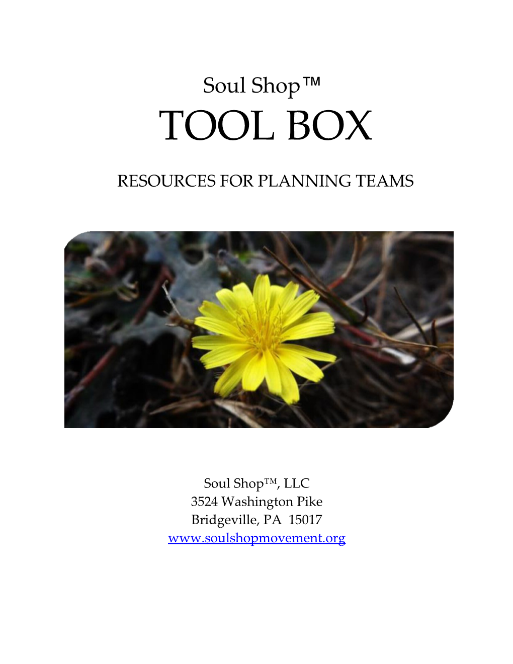 Resources for Planning Teams