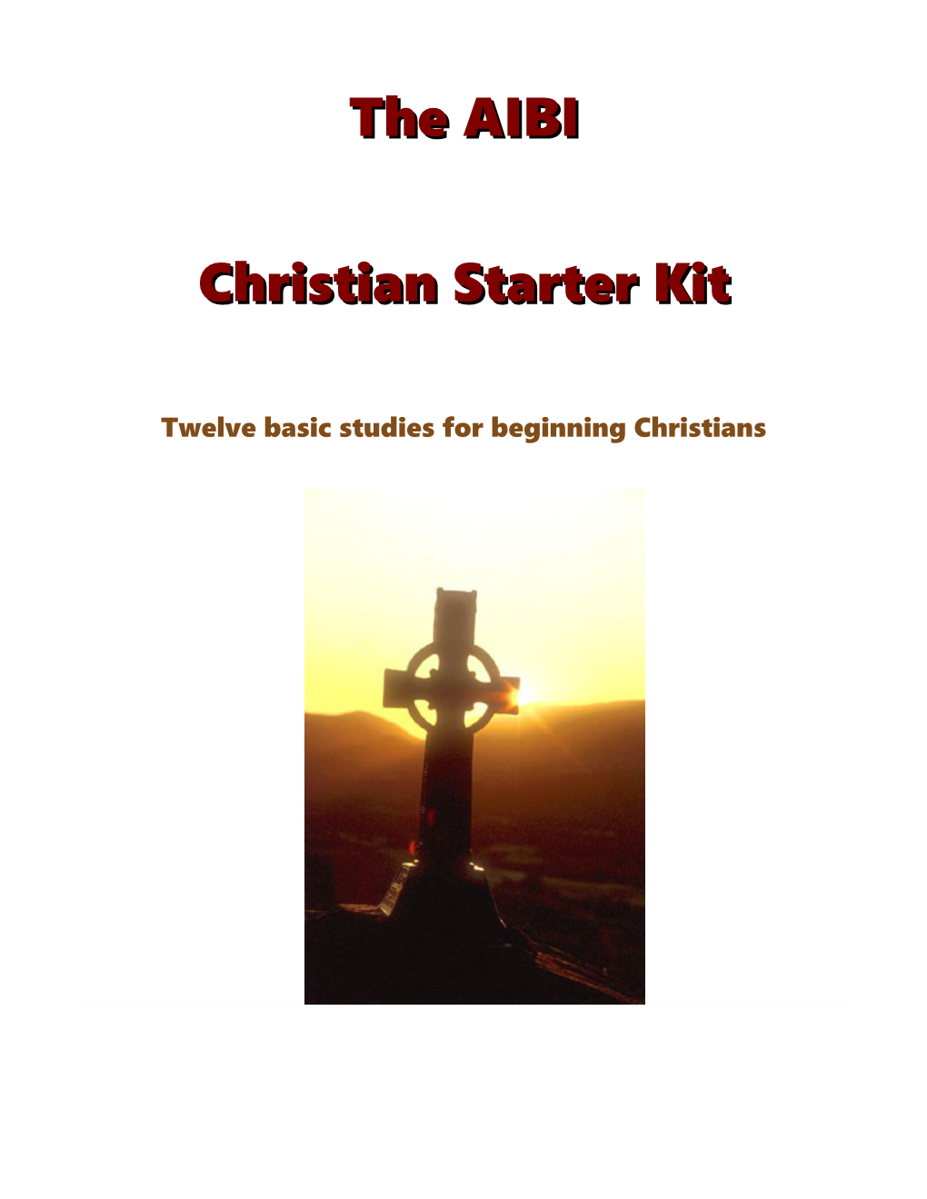 Twelve Basic Studies for Beginning Christians