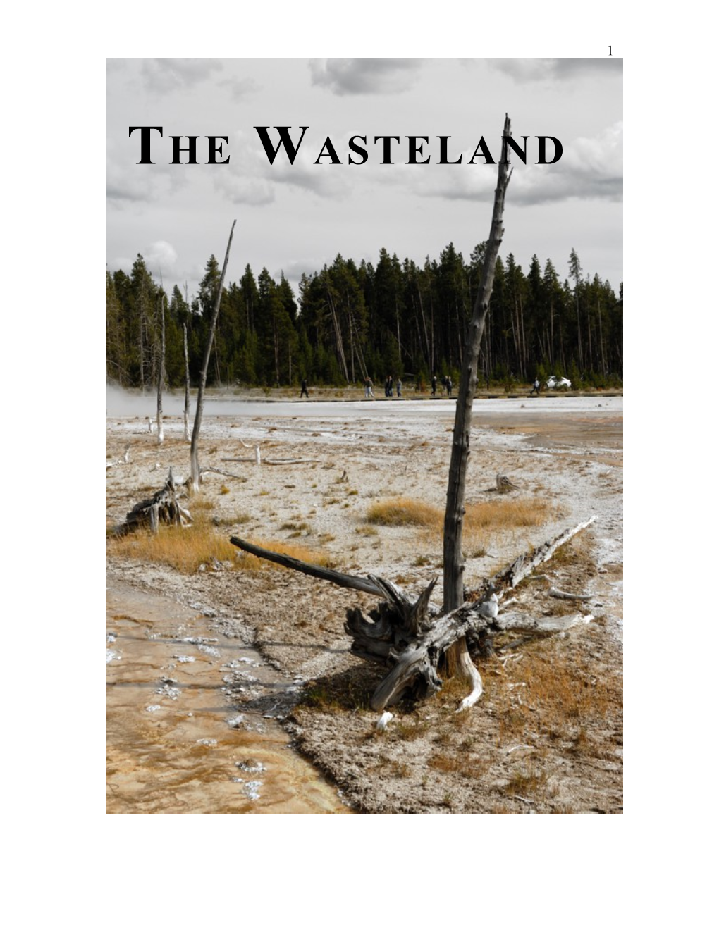 The Wasteland by Alan Paton
