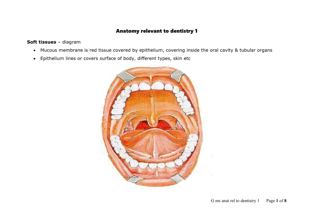 Anatomy Relevant to Dentistry 1