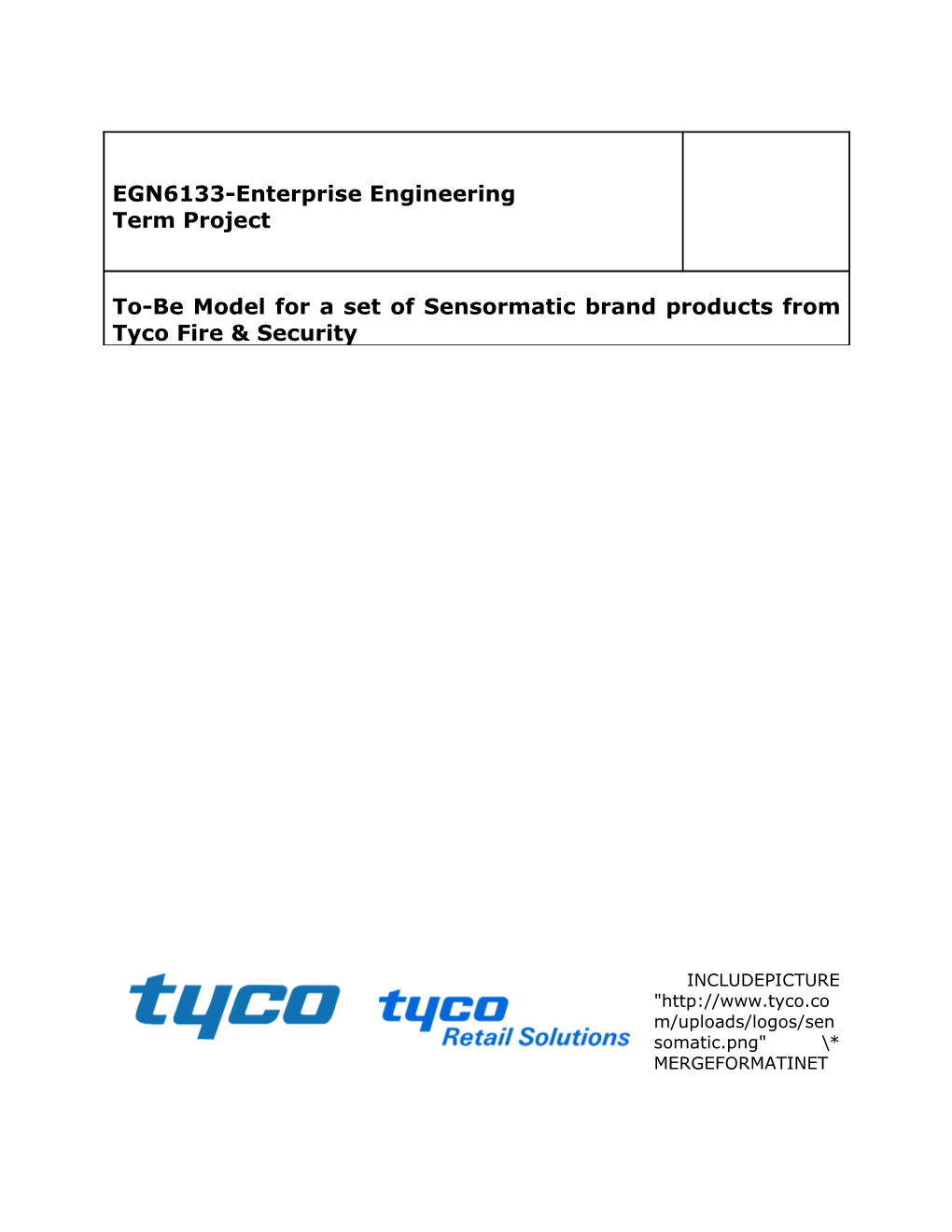 EGN6133-Enterprise Engineering Term Project