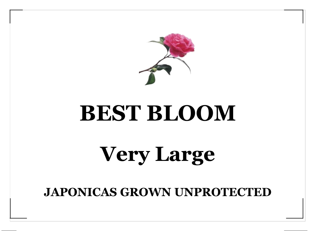 Japonicas Grown Unprotected