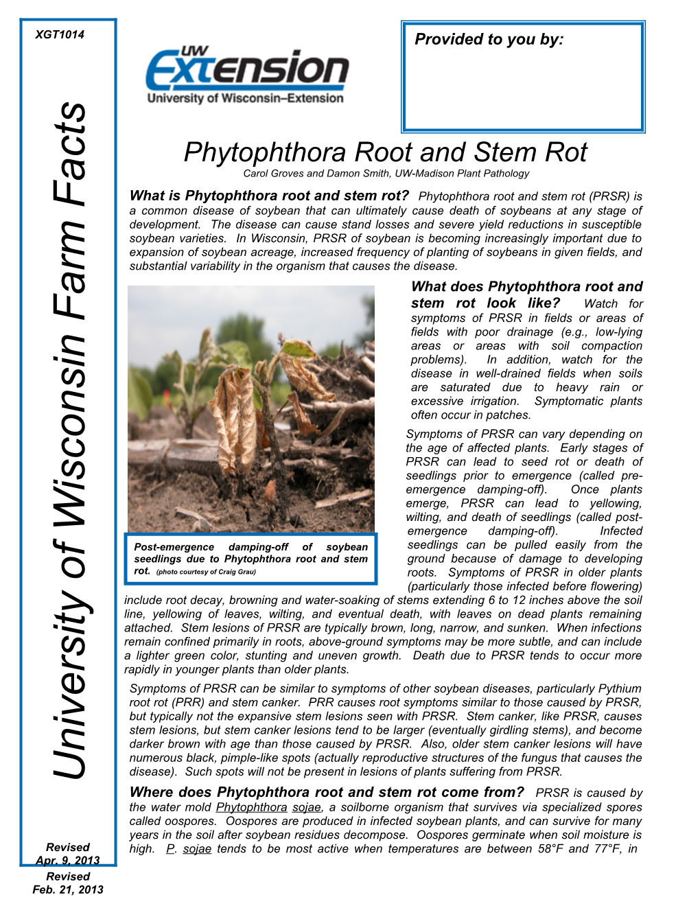 Phytophthora Root and Stem Rot