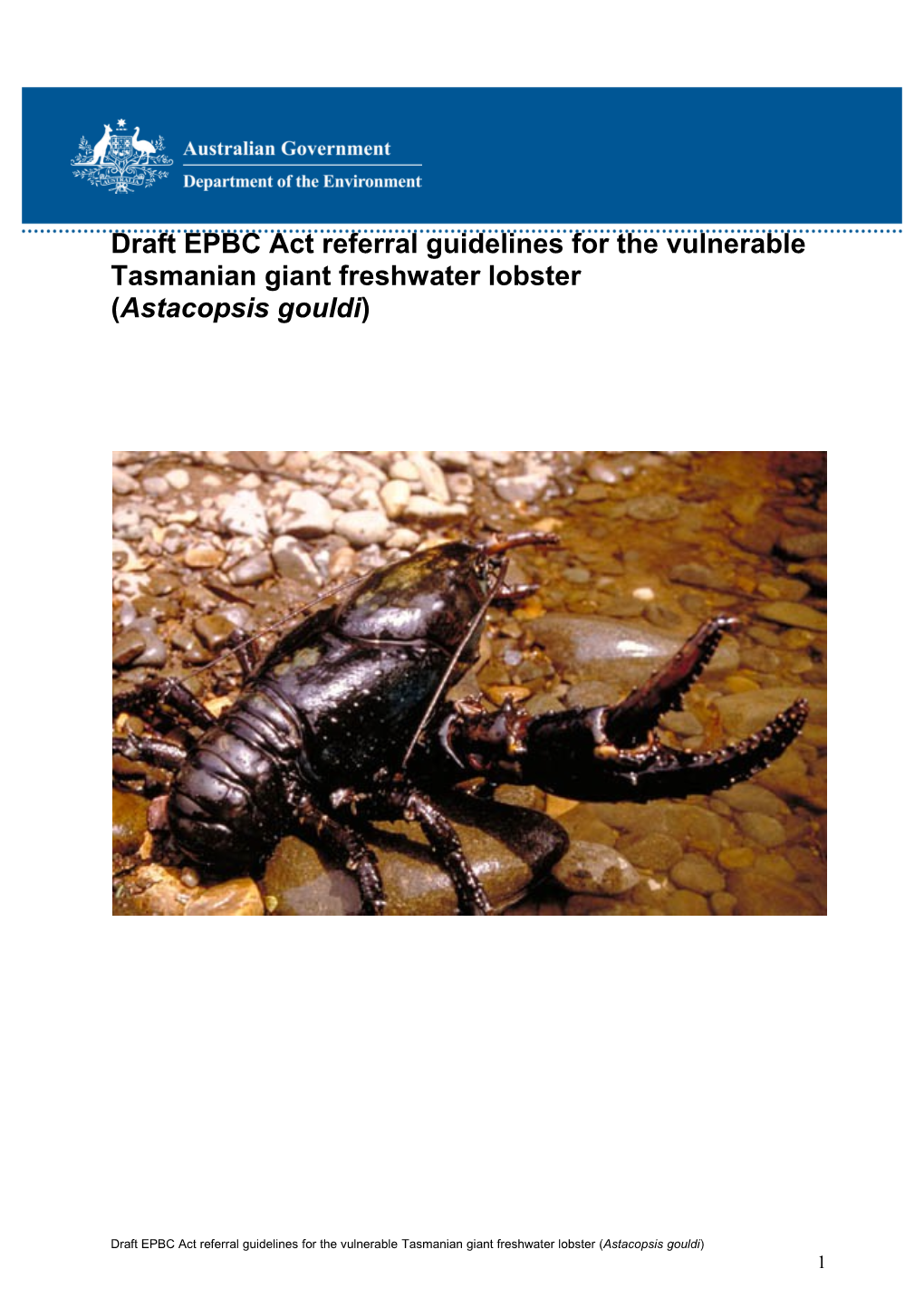 Draft EPBC Act Referral Guidelines for the Vulnerable Tasmanian Giant Freshwater Lobster