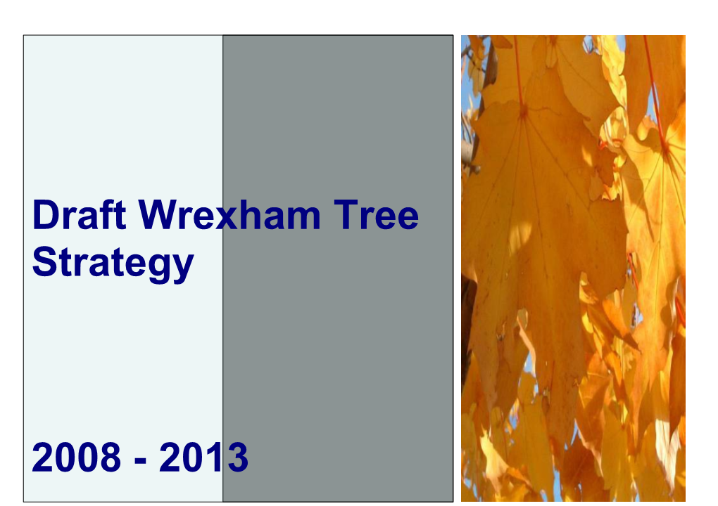 Draft Wrexham Strategy