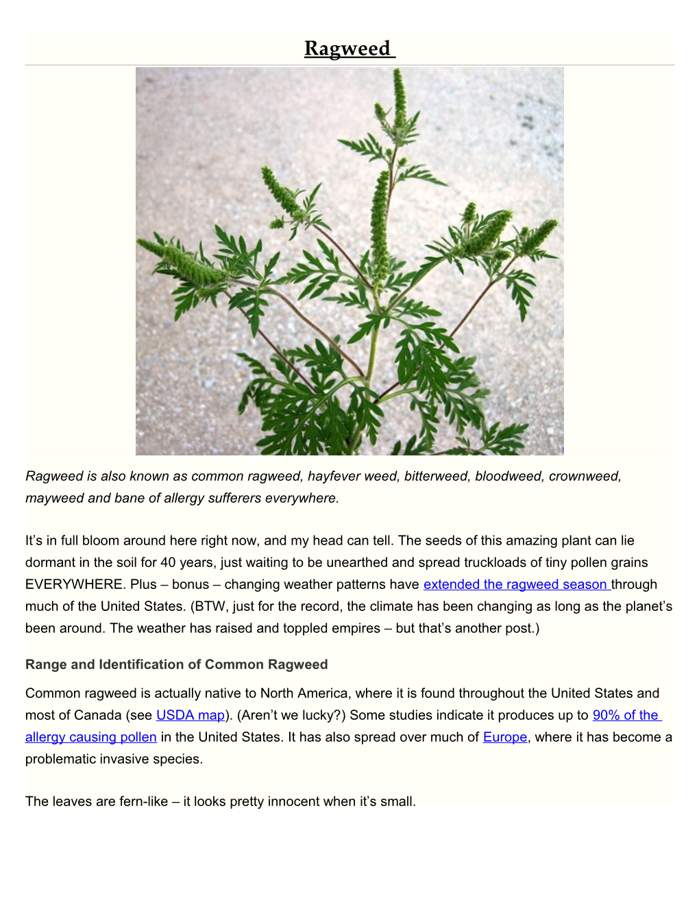 Range and Identification of Common Ragweed