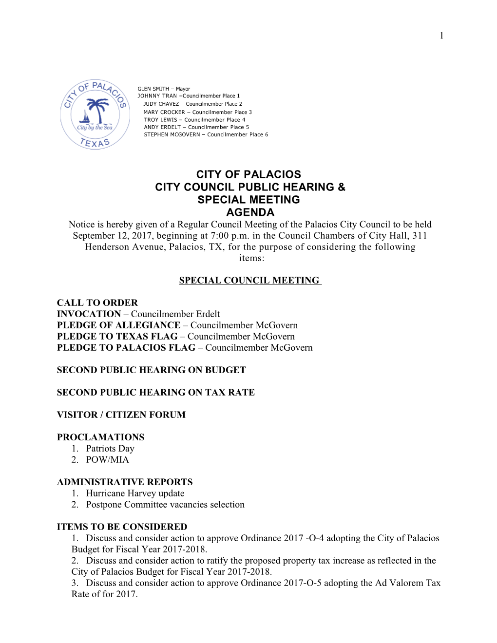 City Council Public Hearing