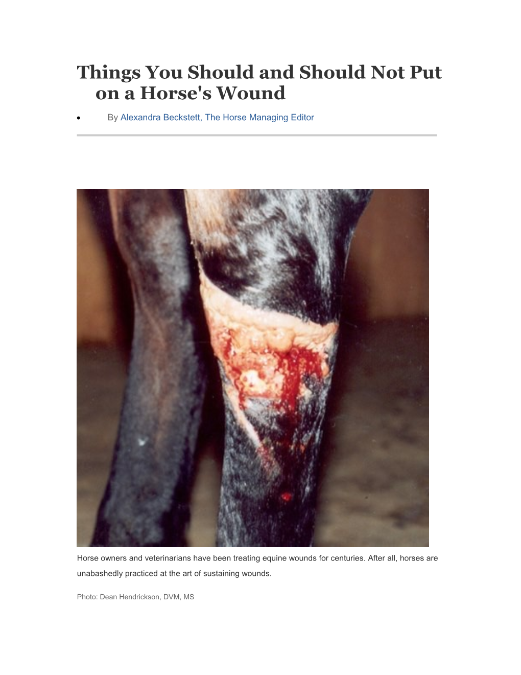 Things You Should and Should Not Put on a Horse's Wound