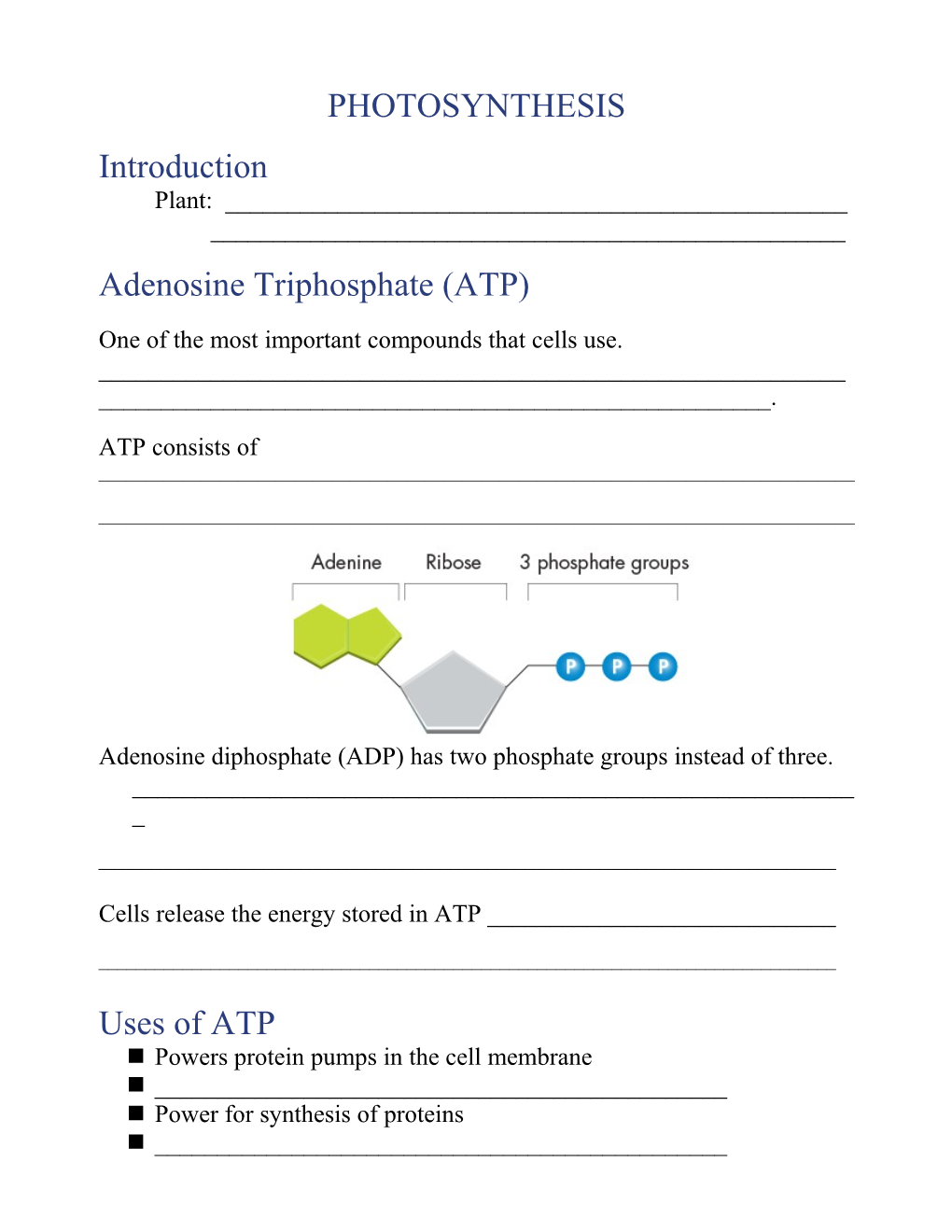 One of the Most Important Compounds That Cells Use. ______