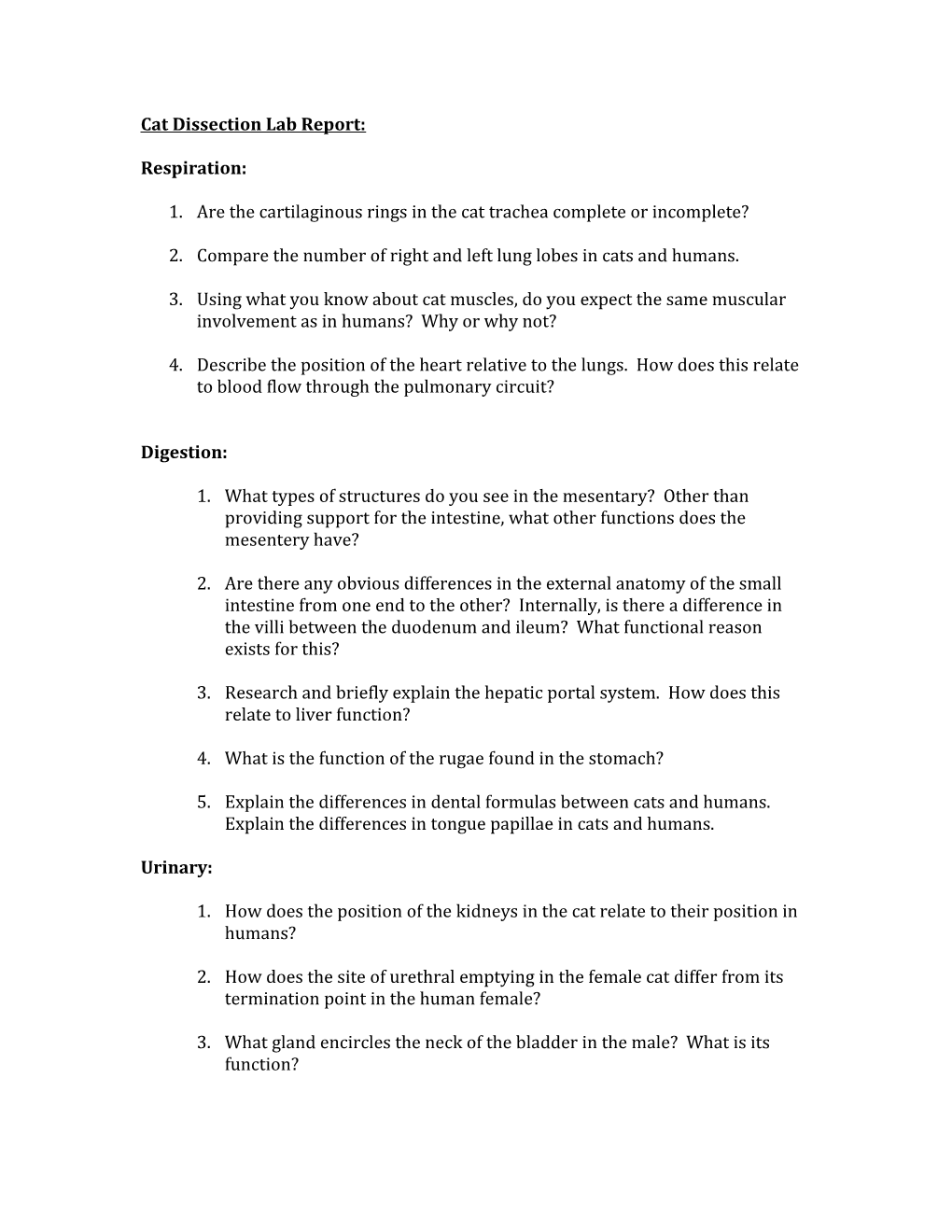 Cat Dissection Lab Report