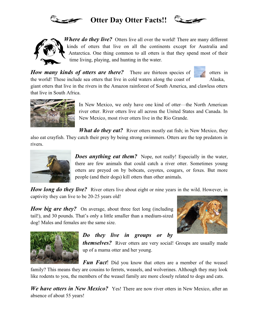 Otter Day Otter Facts
