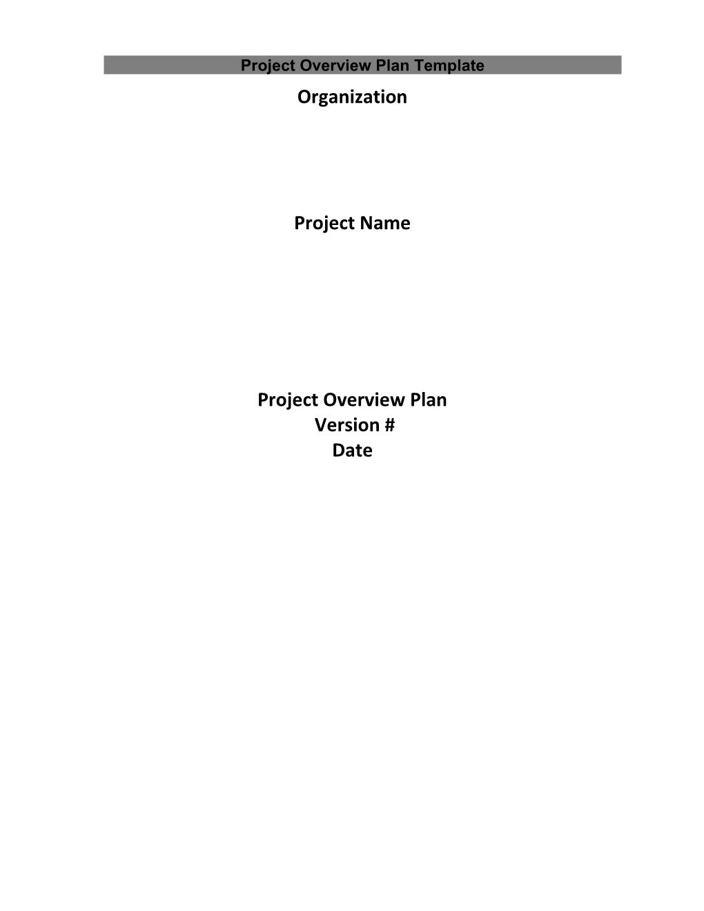 Project Overview Plan