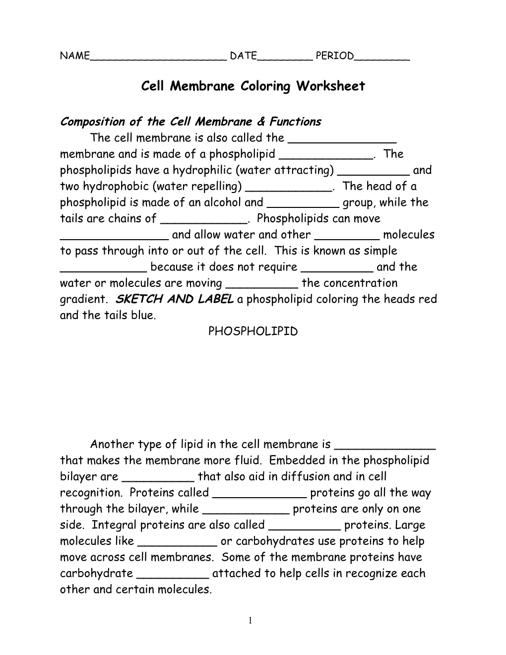 Cell Membrane Coloring Worksheet